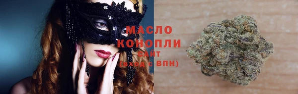 соль ск Алексин