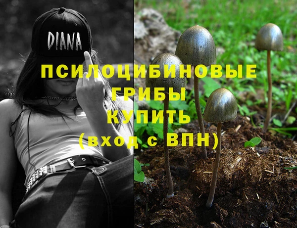 МДПВ Алзамай